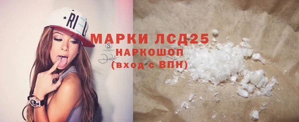 крисы Ельня