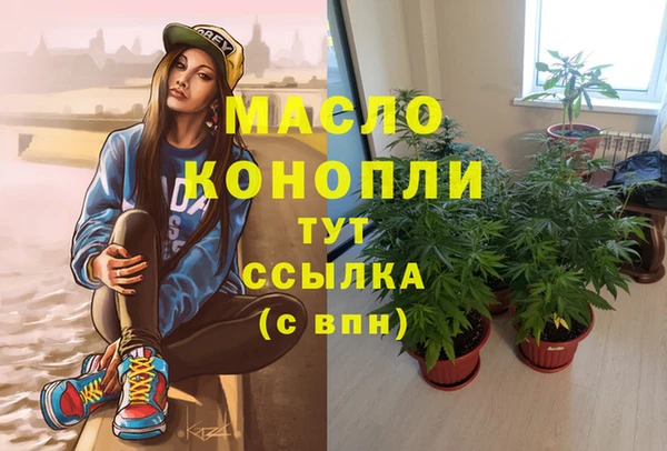 крисы Ельня