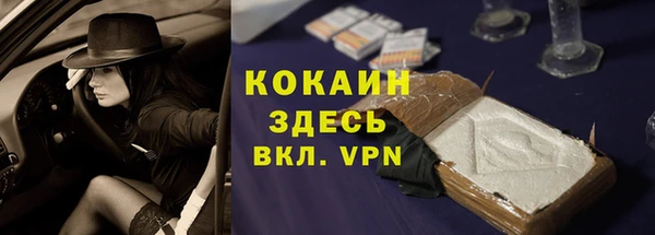 крисы Ельня