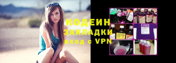 крисы Ельня