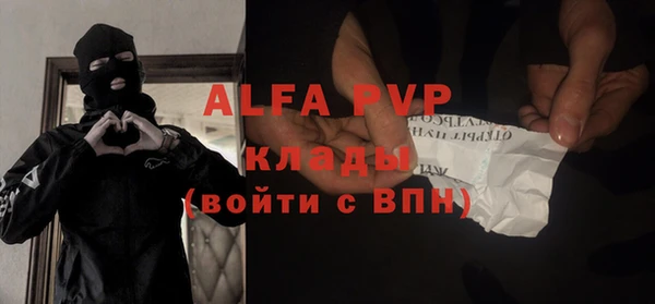 крисы Ельня
