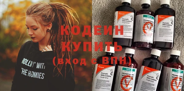 крисы Ельня