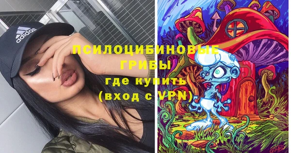 крисы Ельня