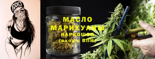 крисы Ельня