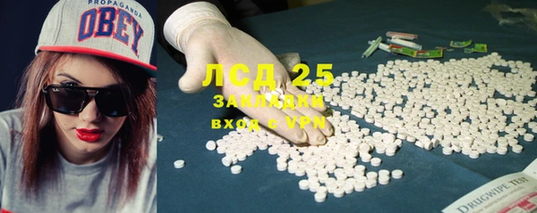 крисы Ельня