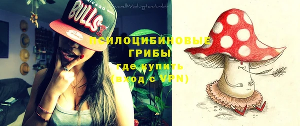 гидропоника Елабуга