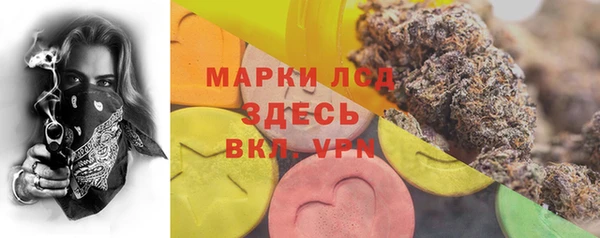 крисы Ельня