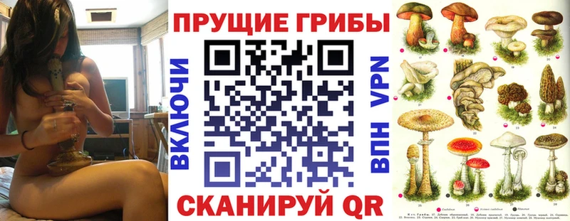 Галлюциногенные грибы Psilocybe  Каменск-Шахтинский 